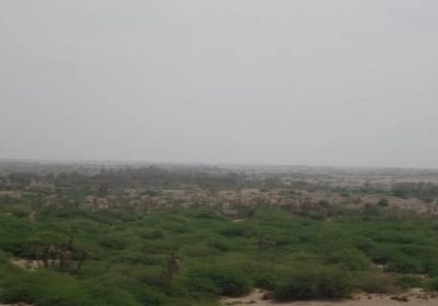 مليشيا الحوثي تجدد خروقاتها وتستهدف بعض المواقع بالجبلية