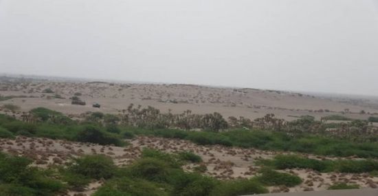 بقذائف المدفعية..مليشيات الحوثي تقصف مواقع "المشتركة" في التحيتا