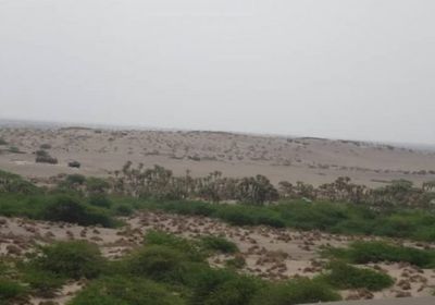 تفاصيل الهجوم المسلح على ناقلات نفط بالقطن في حضرموت