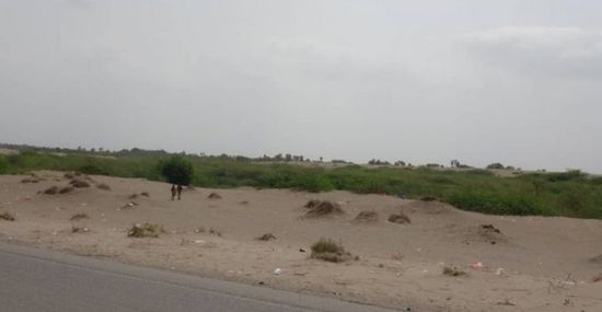 بقذائف المدفعية..مليشيات الحوثي تقصف مواقع "المشتركة" في الجبلية