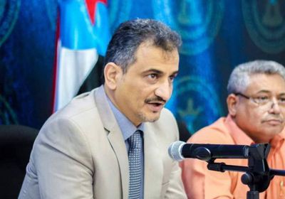 لملس: المجلس الانتقالي يسعى لإنجاح اتفاق الرياض بكل مسئولية