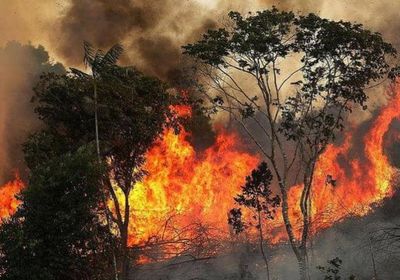 مصرع 3 أشخاص أثناء مكافحة حرائق الغابات في أستراليا