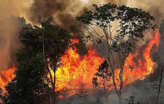 مصرع 3 أشخاص أثناء مكافحة حرائق الغابات في أستراليا