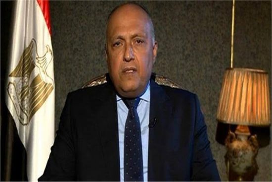 الخارجية المصرية: داعمون للشعب الليبي الرافض لانتهاك سيادة بلاده