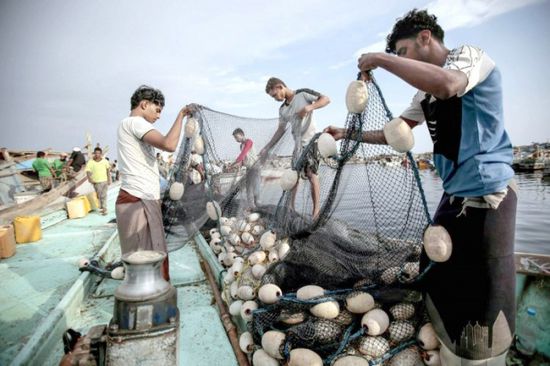 العرب اللندنية: جهود إماراتية لتنشيط الصيد البحري في الساحل الغربي