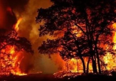 انتشال جثث ثلاثة من رجال الإطفاء الأمريكيين في حرائق الغابات باستراليا