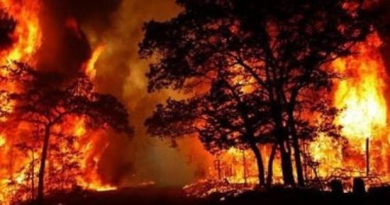 انتشال جثث ثلاثة من رجال الإطفاء الأمريكيين في حرائق الغابات باستراليا