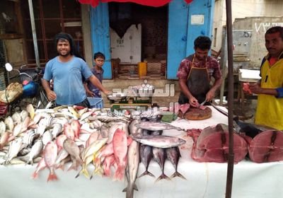 أسعار الأسماك تقفز في أسواق أبين   