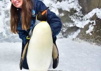 نرمين الفقي وسط الثلوج في أحدث جلسة تصوير