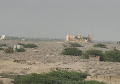 هجمات حوثية متفرقة على القوات المشتركة بالجاح