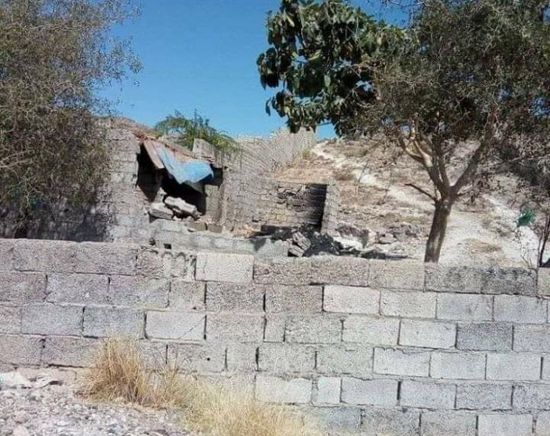 تحميها مليشيا الإخوان.. عصابة سطو على عقارات الدمنية