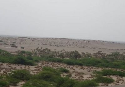 مليشيا الحوثي تجدد خروقاتها بقصف مواقع المشتركة بالجبلية