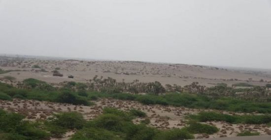 مليشيا الحوثي تجدد خروقاتها بقصف مواقع المشتركة بالجبلية