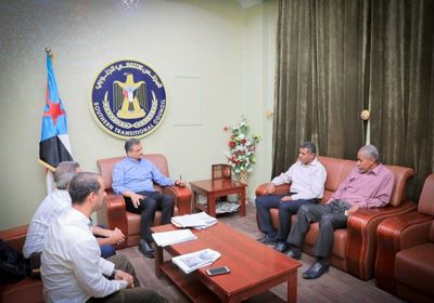 لملس يحذر من كارثة بيئية جراء توقف 23 سفينة منذ سنوات