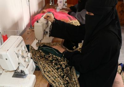 "الإنمائي" يطلق مشروعا للتدريب المهني