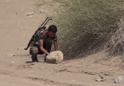 إبطال عبوة ناسفة حوثية بطريق "التحيتا &ndash; الخوخة" (فيديو)