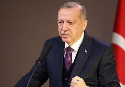 سياسي: مشروع أردوغان سيهزم في ليبيا