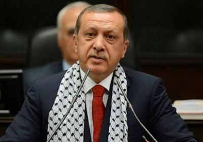 سياسي: أردوغان غير صادق في دفاعه عن فلسطين
