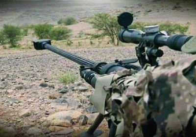 الوطن السعودية: مليشيا الحوثي تعتقل قناصة نظام "صالح"