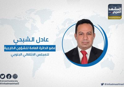 الشبحي يتساءل: ما المحافظة التي تحررت على يد قوات الشرعية؟
