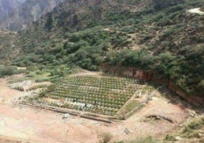 الشرق الأوسط: مليشيا الحوثي أسست 600 مقبرة لقتلاها