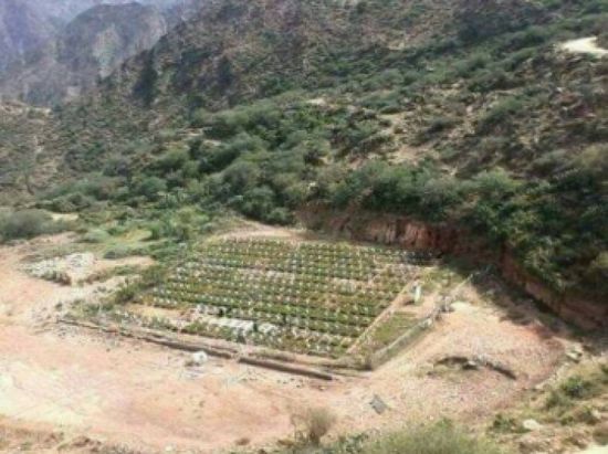 الشرق الأوسط: مليشيا الحوثي أسست 600 مقبرة لقتلاها