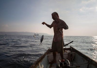 توزيع 203 أجهزة لتحديد مواقع الأسماك على الصيادين