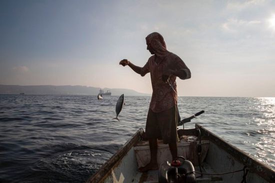 توزيع 203 أجهزة لتحديد مواقع الأسماك على الصيادين