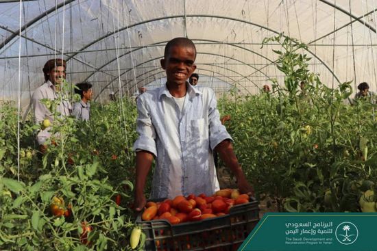 "البرنامج السعودي" يدشن مشروعا للصوب الزراعية