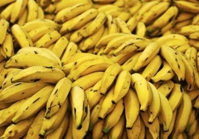 فوائد الموز على جسم الإنسان عديدة.. تعرّف عليها