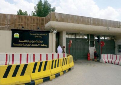 عكاظ: قائد خلية الـ 45 إرهابيا دخل اليمن تهريبا