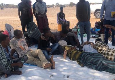 الدولية للهجرة: 138 ألف مهاجر أفريقي فروا إلى عدن