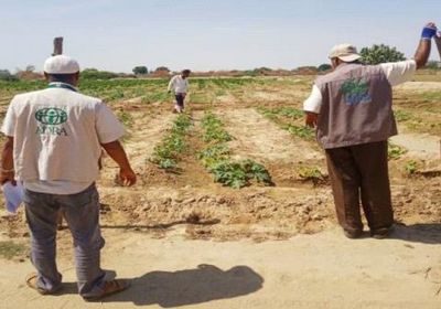 بدعم منظمة ادرا ..توزيع 30 مضخة للمزارعين في تبن بلحج