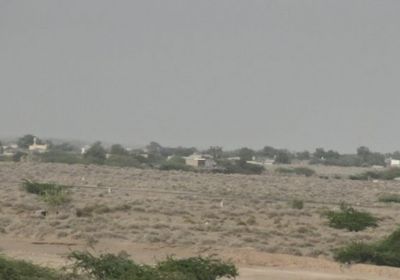 القوات المشتركة تتصدى لمحاولة تسلل حوثية في الجاح