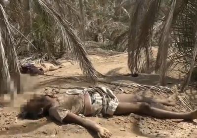 بالفيديو..مليشيات الحوثي تترك جثث قتلاها في منطقة الجاح بالحديدة