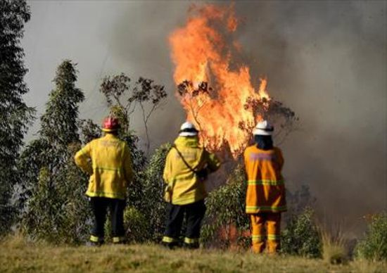أستراليا تجري تحقيقا عالي المستوى بشأن حرائق الغابات