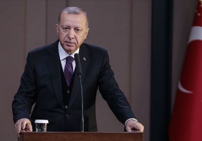 سياسي: أردوغان أصبح صيد ثمين في سوريا وليبيا