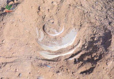 "مسام" ينتزع 4911 لغما حوثيا في أسبوع 