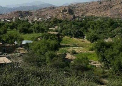 مواطن يُغلق وحدة صحية بردفان ويطرد العاملين بها