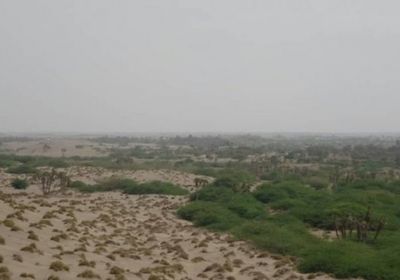 مليشيا الحوثي تقصف المناطق السكنية بالجبلية