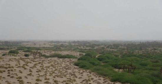 مليشيا الحوثي تقصف المناطق السكنية بالجبلية