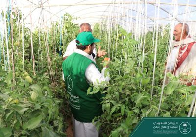 "البرنامج السعودي": تدريب المزارعين على التقنيات الحديثة
