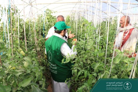 "البرنامج السعودي": تدريب المزارعين على التقنيات الحديثة