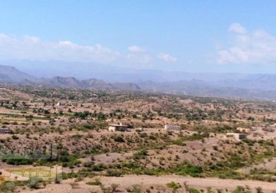 عاجل..إحباط محاولة تسلل حوثية شمالي الضالع