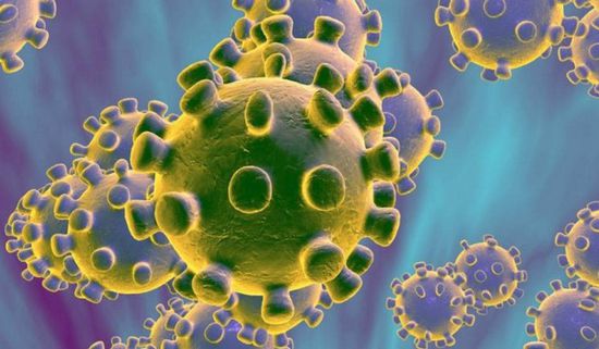 إرتفاع الإصابة بفيروس كورونا في السويد إلى 5 حالات