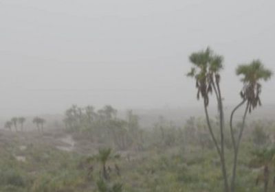 مقتل عناصر حوثية خلال محاولة تسلل فاشلة بالجبلية