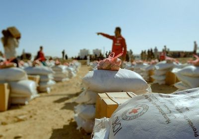 الصليب الأحمر: توزيع مساعدات غذائية على 70 ألف نازح بمأرب