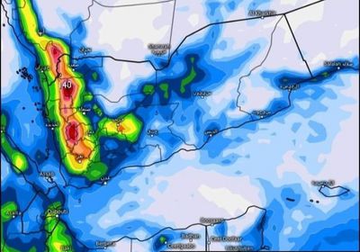 الأرصاد: طقس ربيعي منتصف مارس الجاري