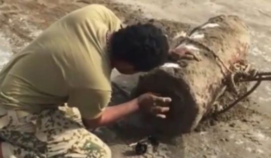 يزن نصف طن..تفكيك رأس صاروخي زرعته المليشيات الحوثية في الحديدة (فيديو)