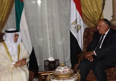 شكري وقرقاش يبحثان أوجه العلاقات الثنائية بين مصر والإمارات 